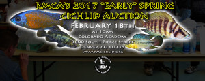 AuctionSPRING2017