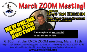 MarchZoomMeeting